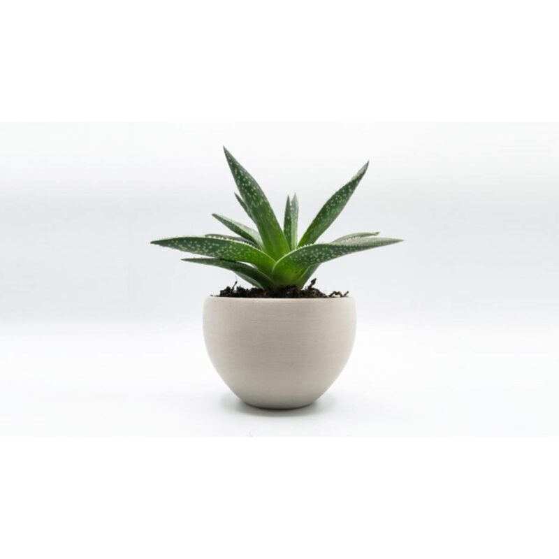 Recreus - Filament Purifier - Luftreinigend