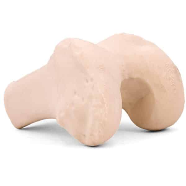 3DXtech - Simubone - Knochen - Bone modeling - Filament