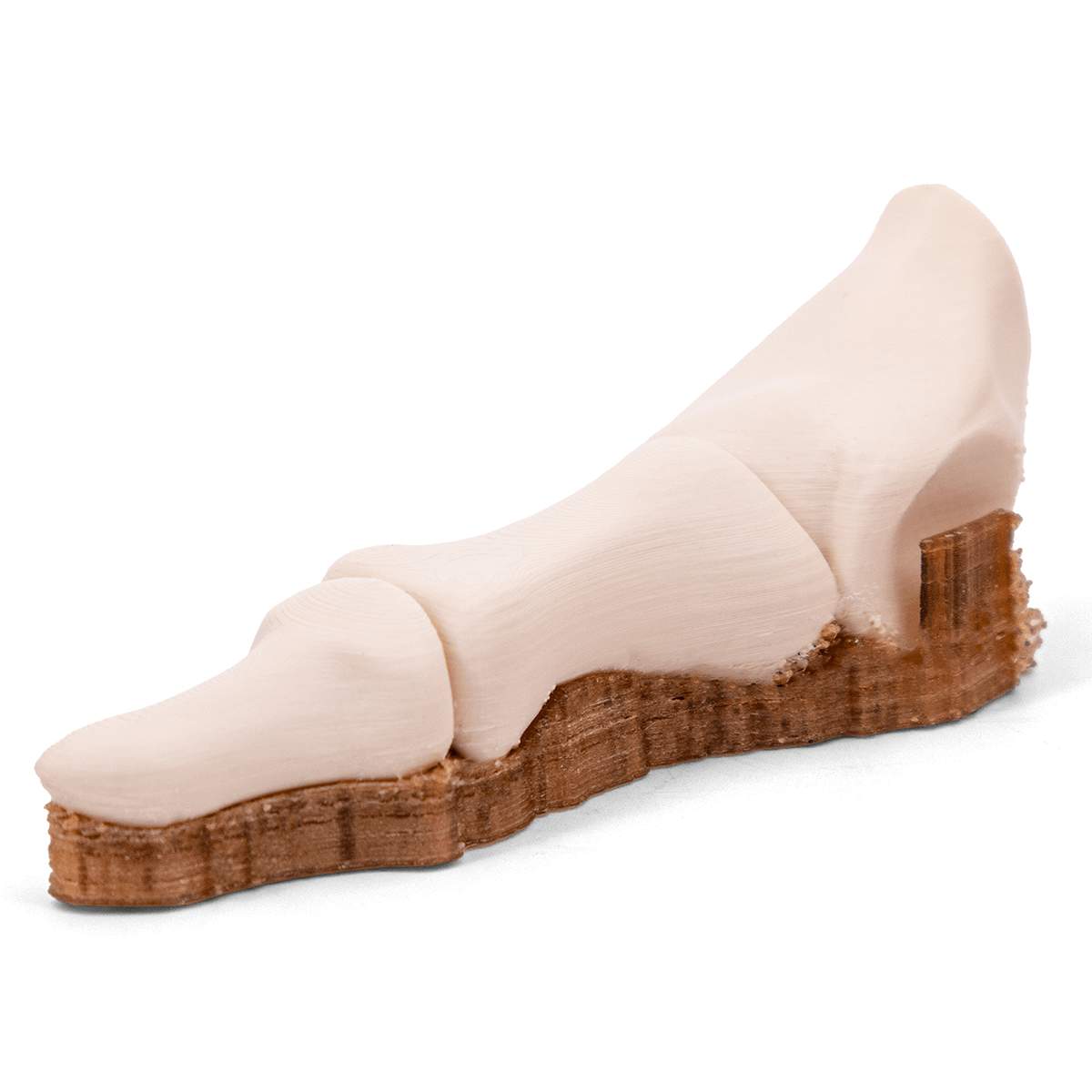 3DXtech - Simubone - Knochen - Bone modeling - Filament